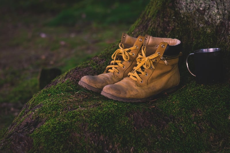 Sturdy Hiking Boots